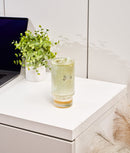 Set 6 pahare Ice Latte Essential, sticlă, 450 ml